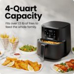 Fryer iamge4