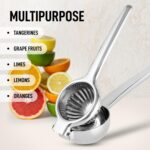Lemon Squeezer image5
