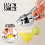 Lemon Squeezer image7